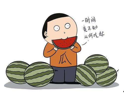 吃瓜网络语,揭秘网络吃瓜文化的崛起与演变
